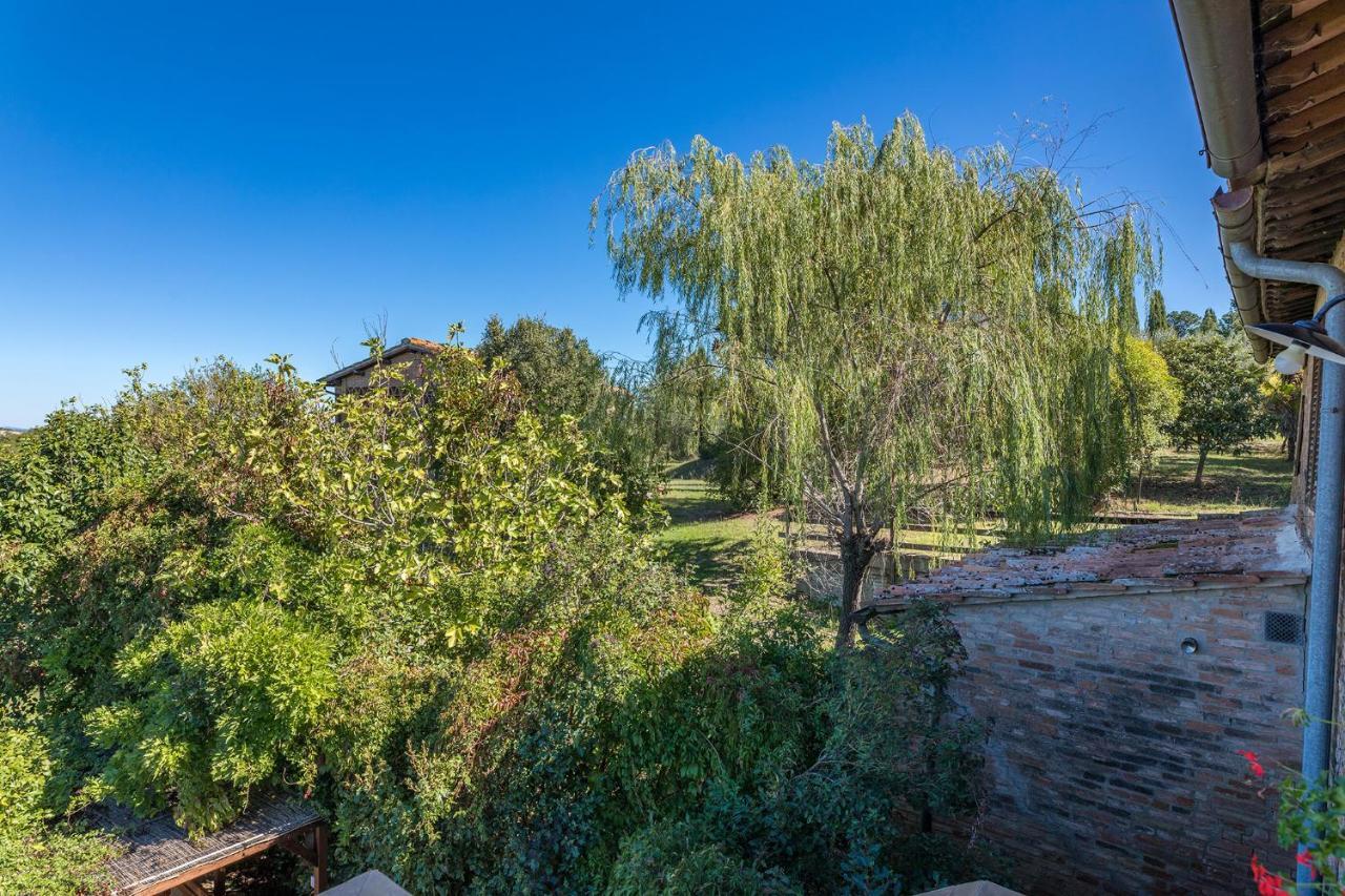 Podere Albereto Buonconvento Luaran gambar