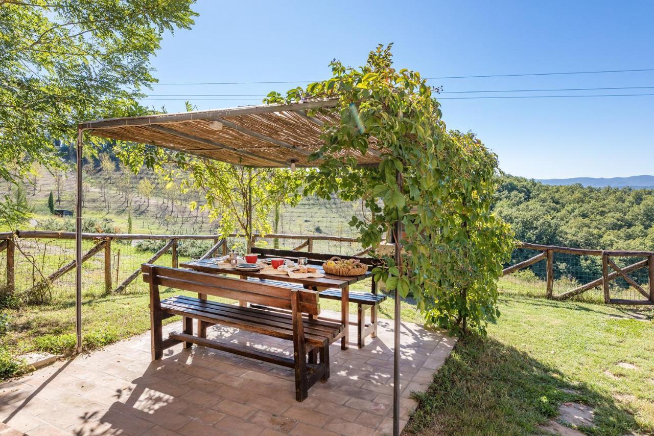 Podere Albereto Buonconvento Luaran gambar